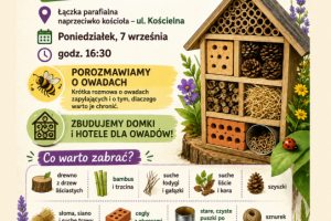 Warsztaty budowania domków
