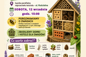 Warsztaty budowania domków cd